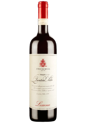 Lessona D.O.C. Omaggio Quintino Sella 2016