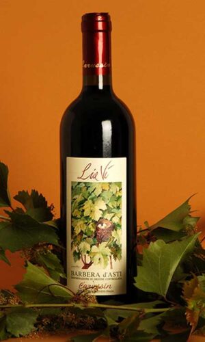 Carussin Barbera d'Asti "Lia Vi" Biodynamisk
